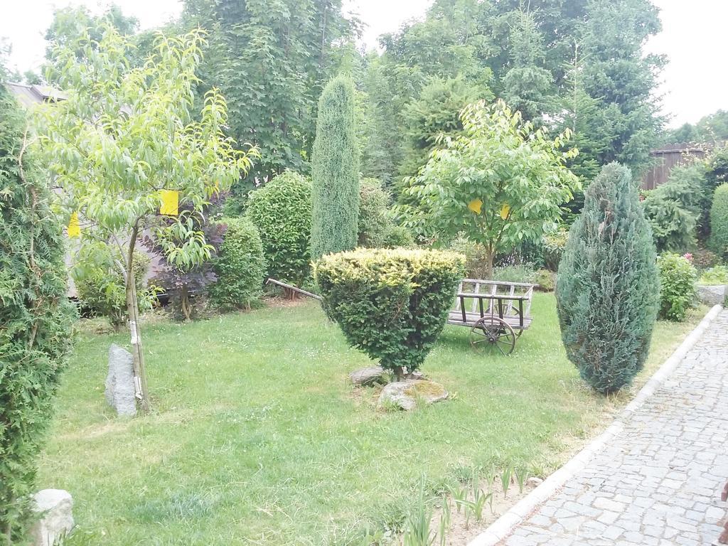 Penzion Hugo Sedlec-Prcice Dış mekan fotoğraf