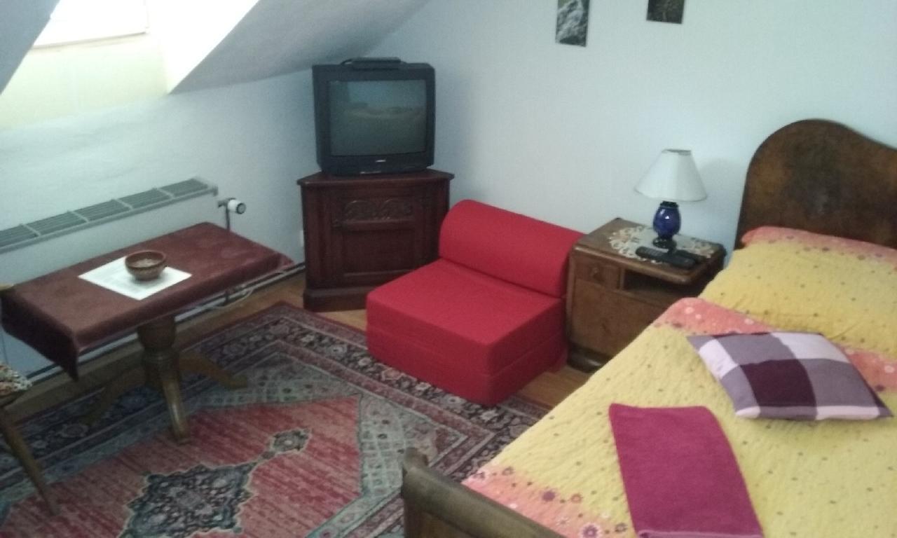 Penzion Hugo Sedlec-Prcice Dış mekan fotoğraf