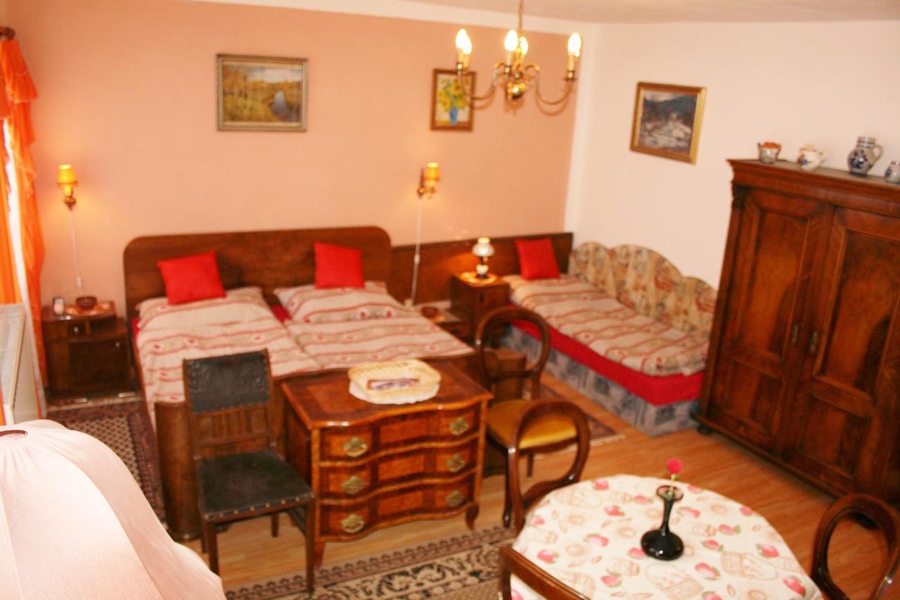 Penzion Hugo Sedlec-Prcice Dış mekan fotoğraf
